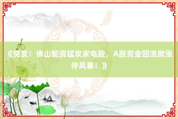 《突发!佛山配资猛攻家电股,A股资金回流掀涨停风暴!》