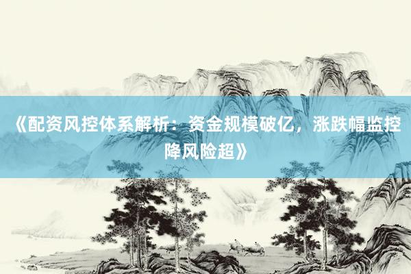 《配资风控体系解析:资金规模破亿,涨跌幅监控降风险超》