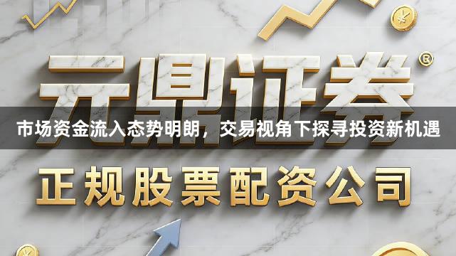 市场资金流入态势明朗，交易视角下探寻投资新机遇