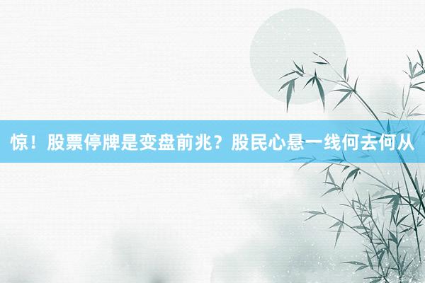 惊！股票停牌是变盘前兆？股民心悬一线何去何从